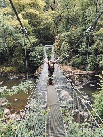 Over een hangbrug in het bos