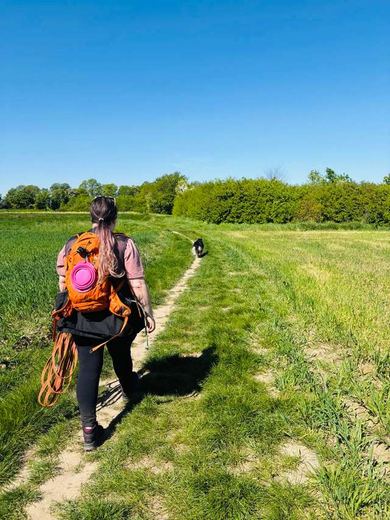 Wandelen door groene velden met Arya